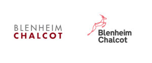 Blenheim Chalcot Recruitment For QA Engineer